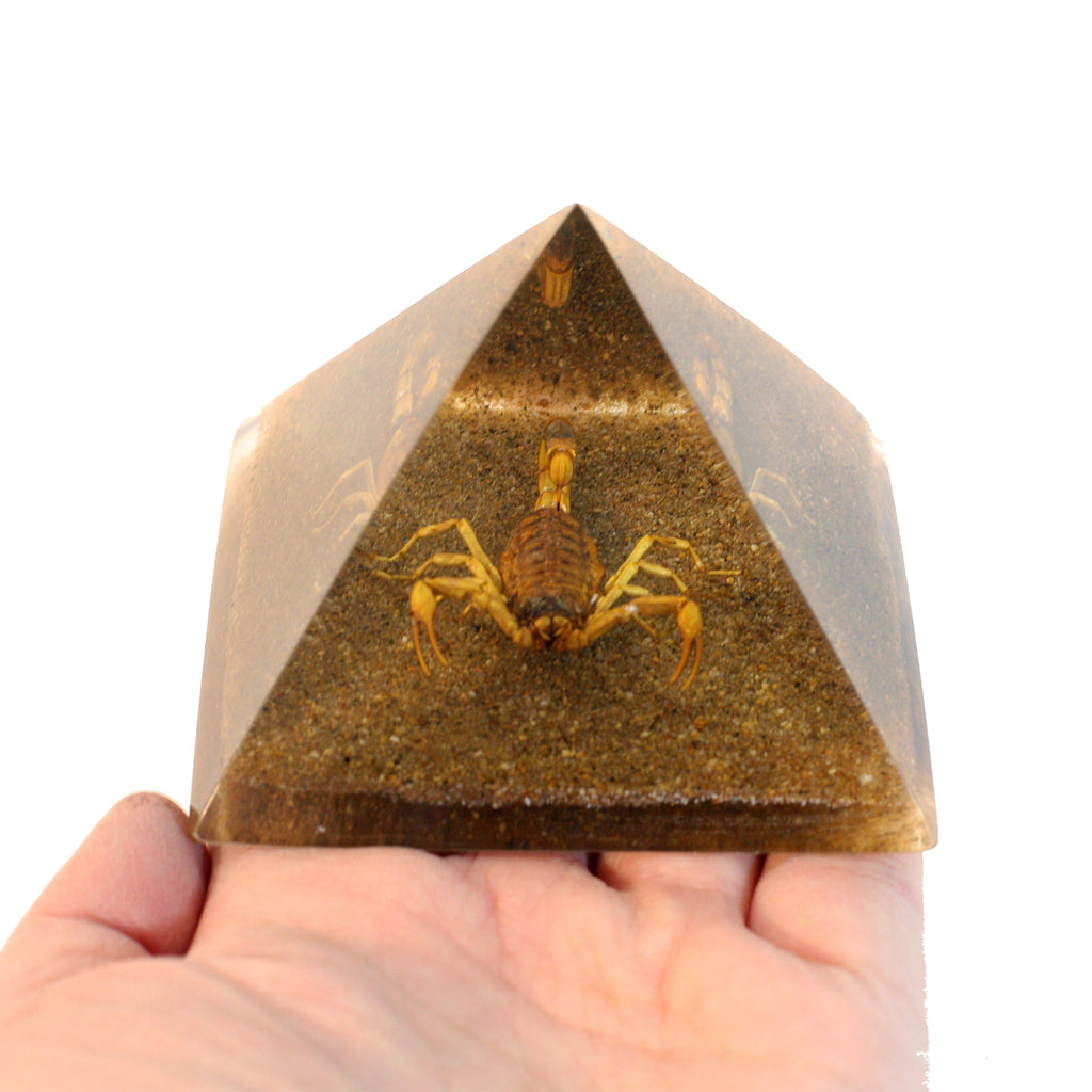 DS902<br/> Pyramid, Gold Scorpion, Sand Base