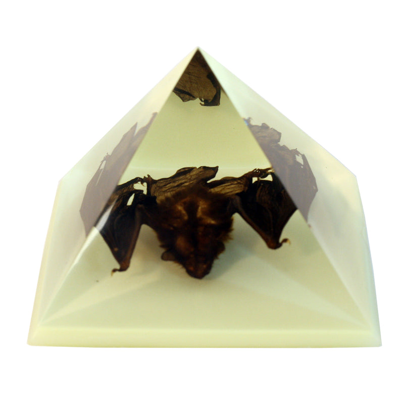 DS904<br/> Pyramid, Bat, Glow in the Dark