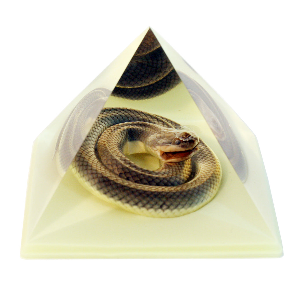 DS907<br/> Pyramid, Snake, Glow in Dark