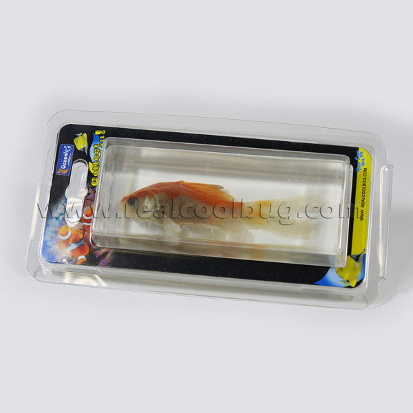 FH304<br/>Common Goldfish Paperweight