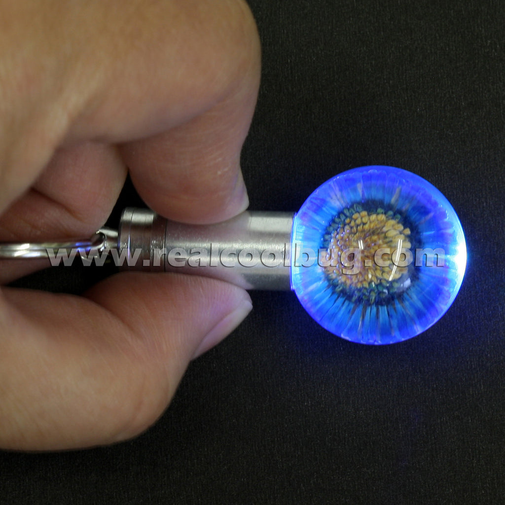 FLK114<br/>LED Key Chain - Blue Daisy