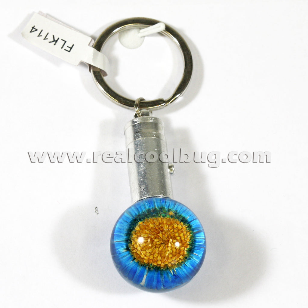 FLK114<br/>LED Key Chain - Blue Daisy