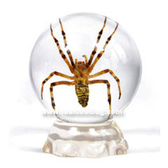 GL07<br />Spider Globe Desk Decoration