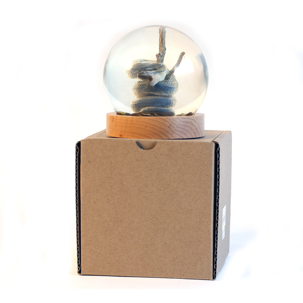 GL10013<br /> 4 inchReal Snake Globe with Stand
