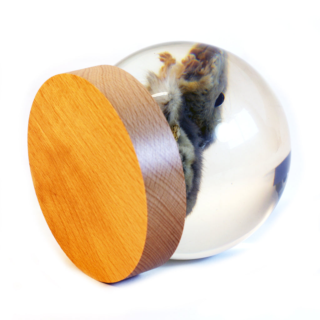 GL10020<br /> 4 inch Real Mouse Globe