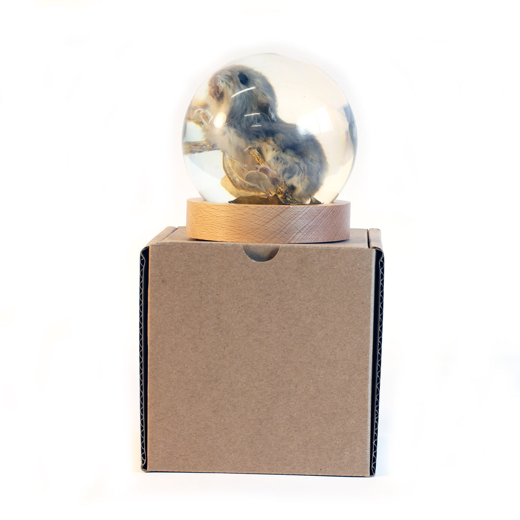 GL10020<br /> 4 inch Real Mouse Globe