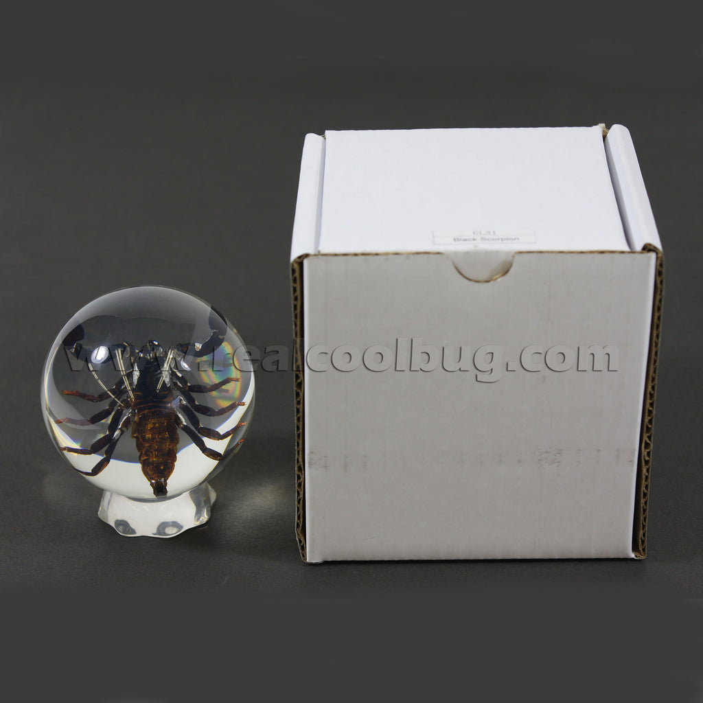 GL10<br/>Black Scorpion Globe Desk Decoration