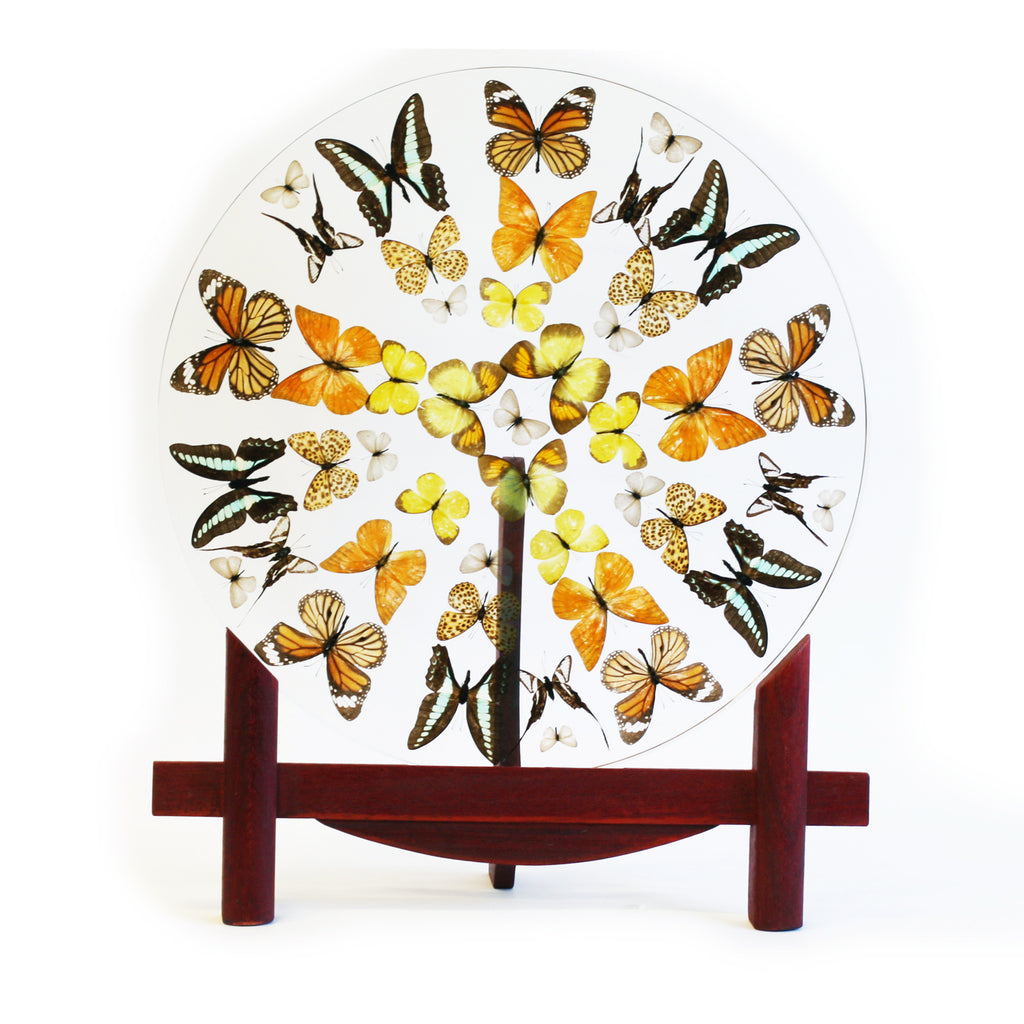 EC044<br/> Butterflies Plate