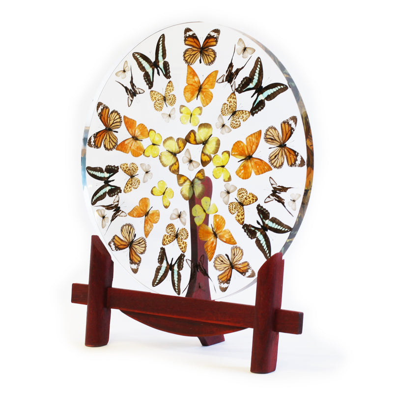 EC044<br/> Butterflies Plate