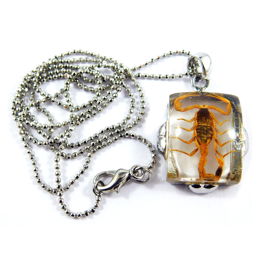 Small Golden Scorpion Square Necklace (JD206)