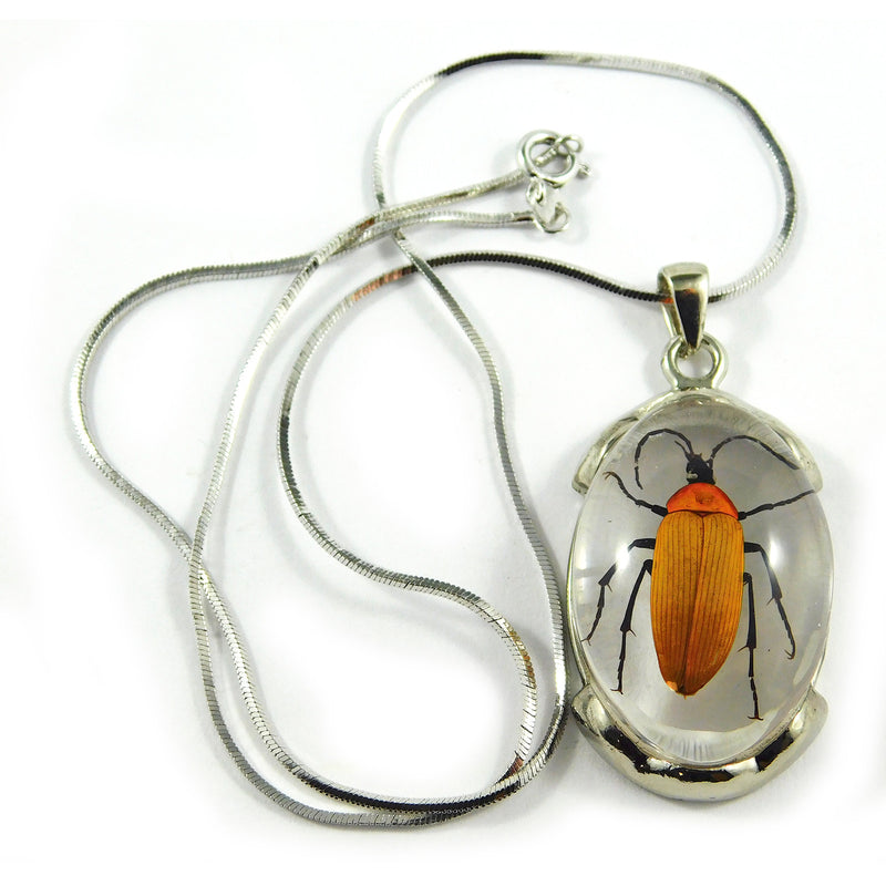 Red Leaf Bug Oval Necklace (JD301)