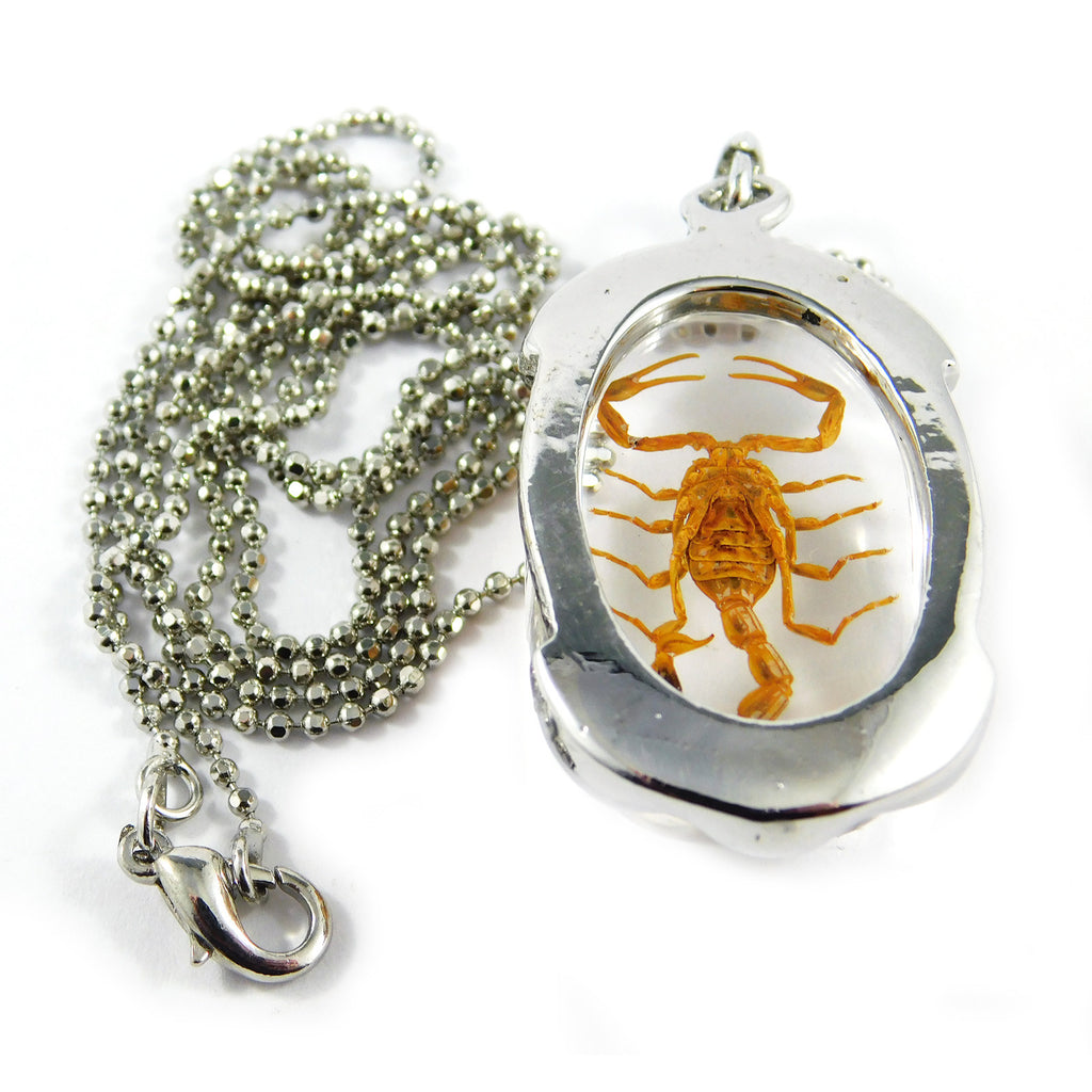 Golden Scorpion Oval Necklace (JD303)