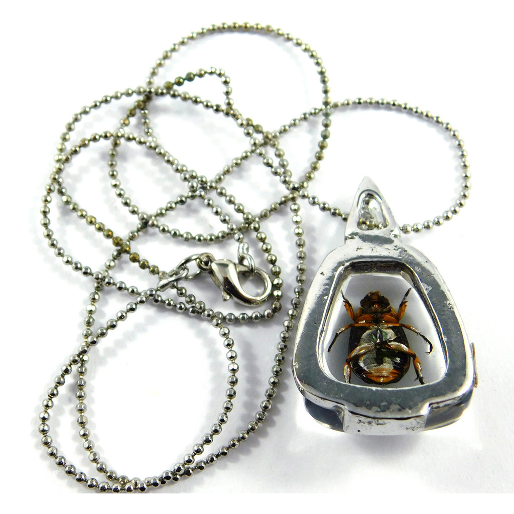 Chafer Beetle Triangular Necklace (JD401)