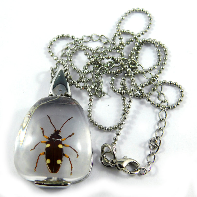 Weevil Triangular Necklace (JD402)