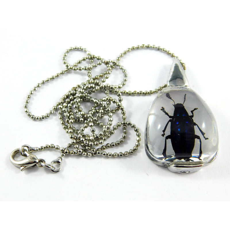 Blue Leaf Beetle Necklace (JD408)