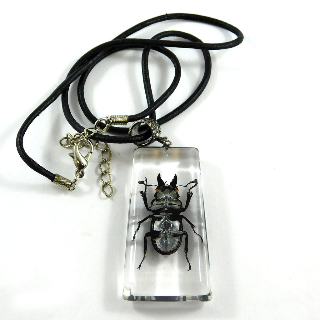 Stag Beetle Necklace (MSD103)