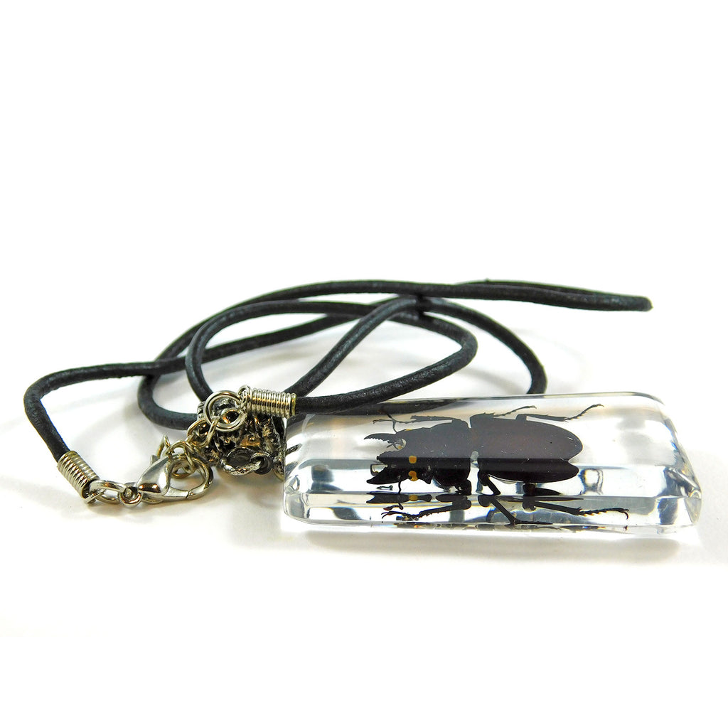Stag Beetle Necklace (MSD103)