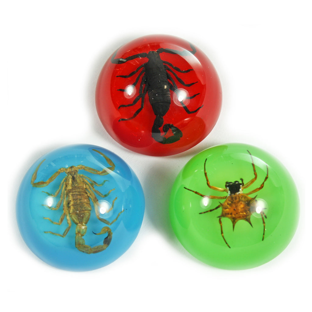 MT3001<br />Scorpion & Spider Set