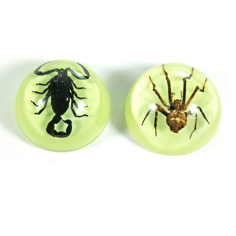 MT3801<br />Scorpion & Spider Set