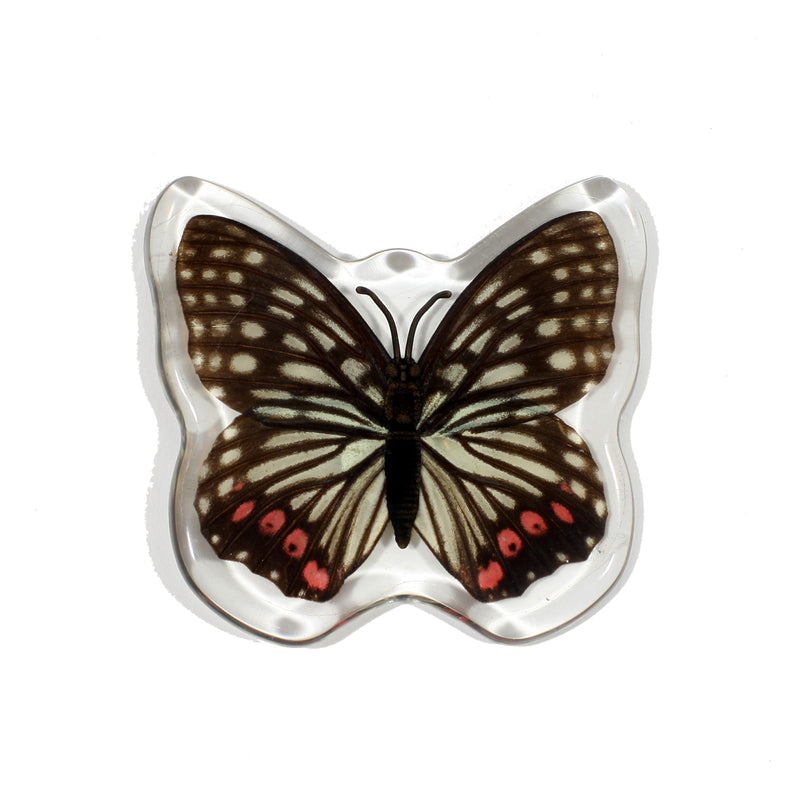 MT508<br/>Red Ring Skirt Butterfly