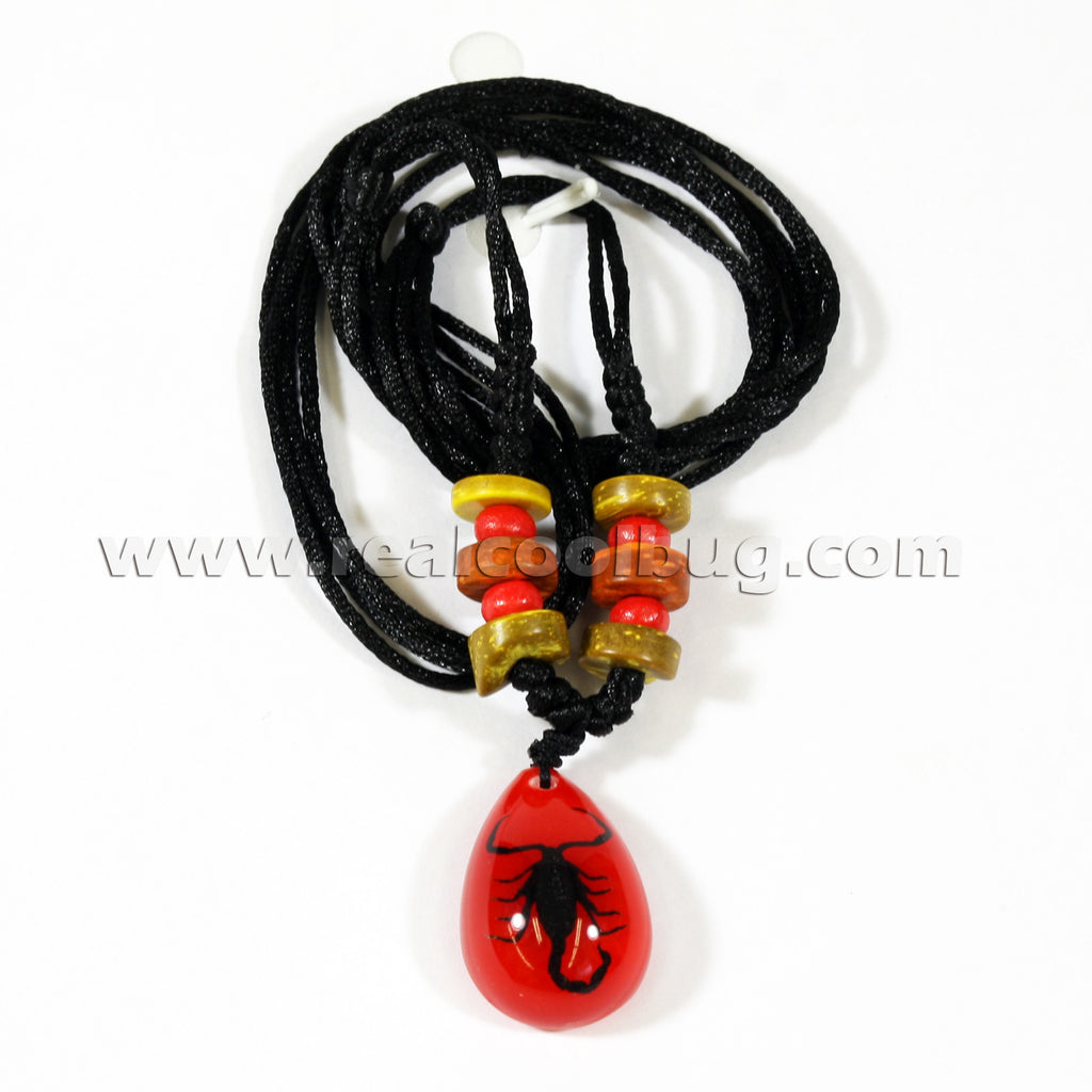 NEK101<br/>Scorpion