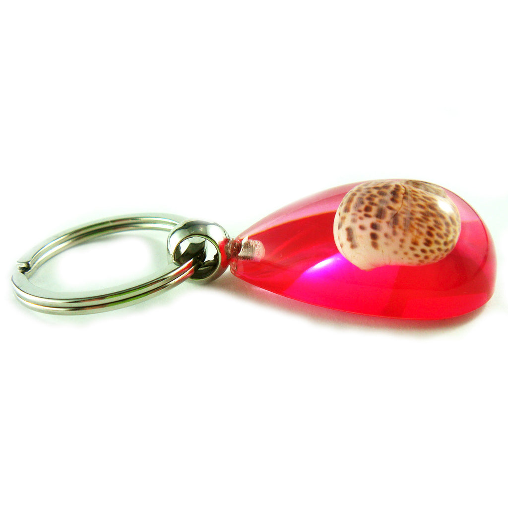 OK205 Pink<br />Babylon Shell<br />