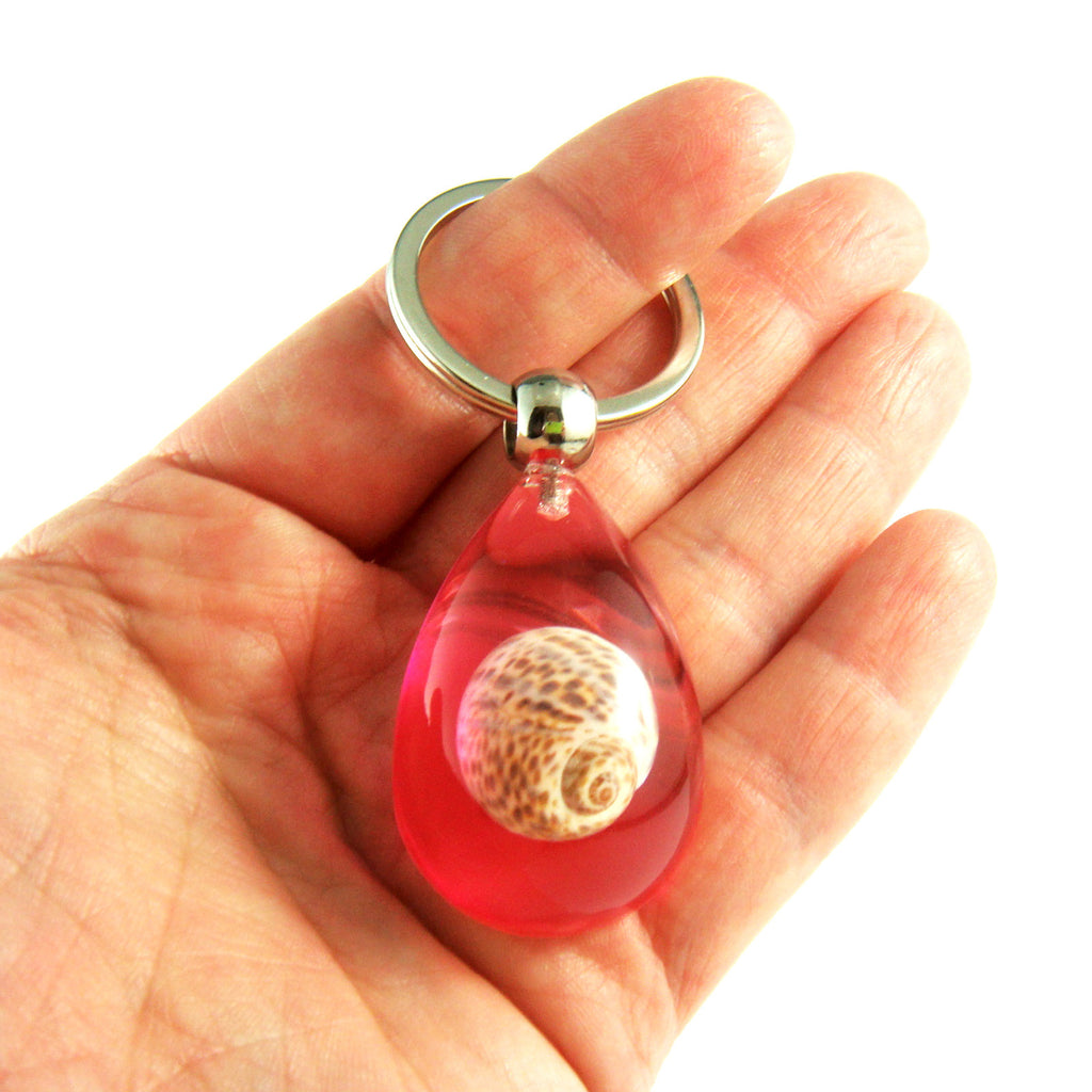 OK205 Pink<br />Babylon Shell<br />