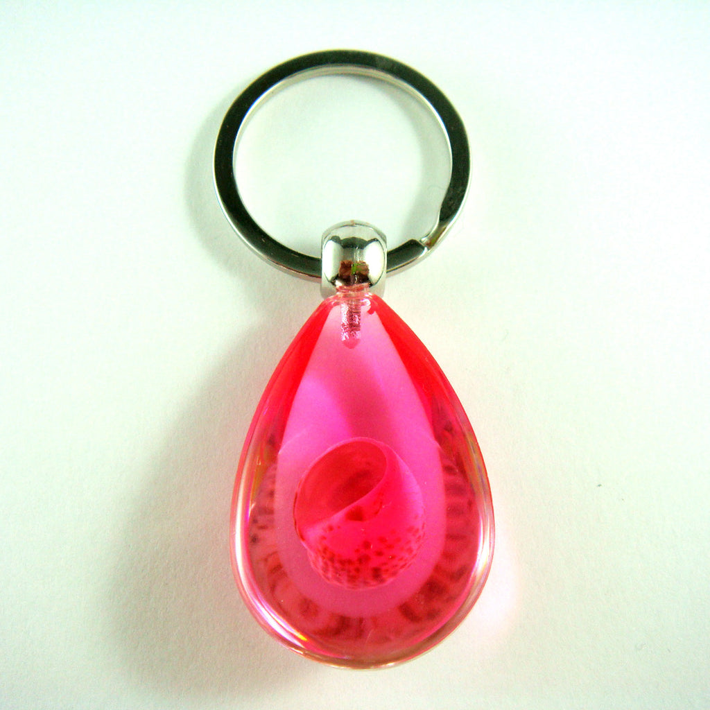 OK206 Pink<br />Zigzag Nerite Shell<br />