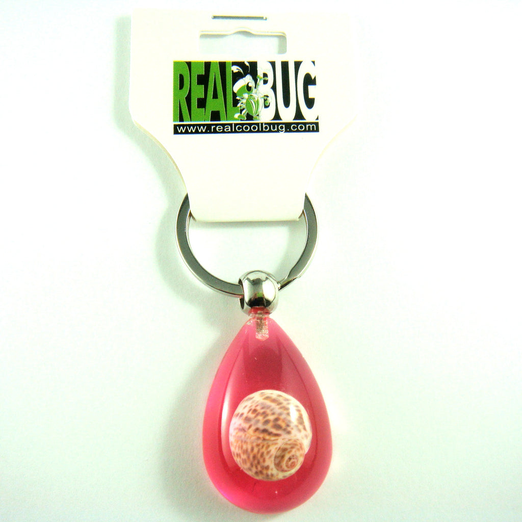 OK205 Pink<br />Babylon Shell<br />