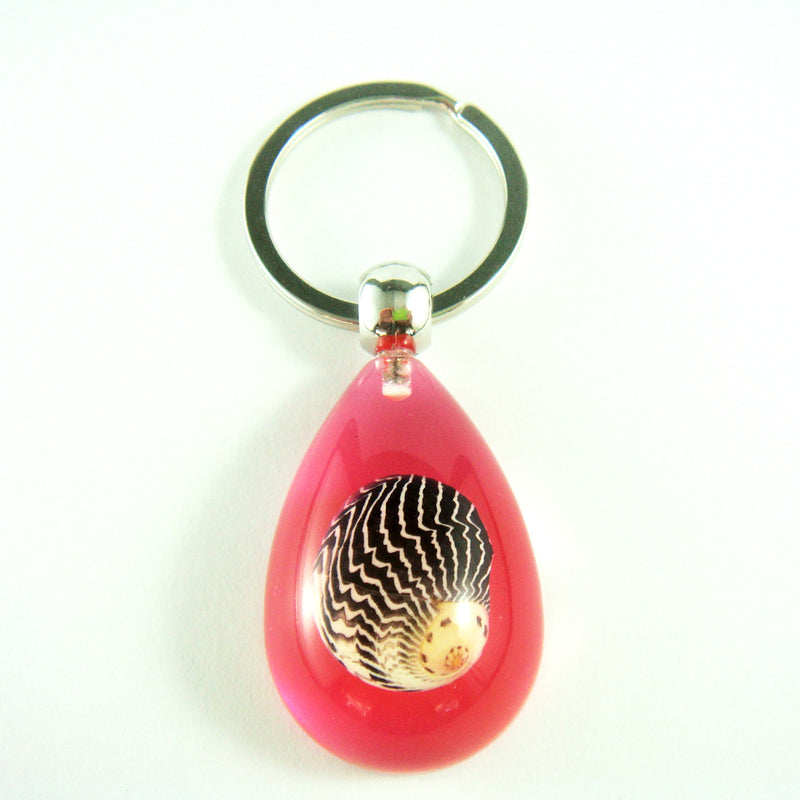 OK206 Pink<br />Zigzag Nerite Shell<br />