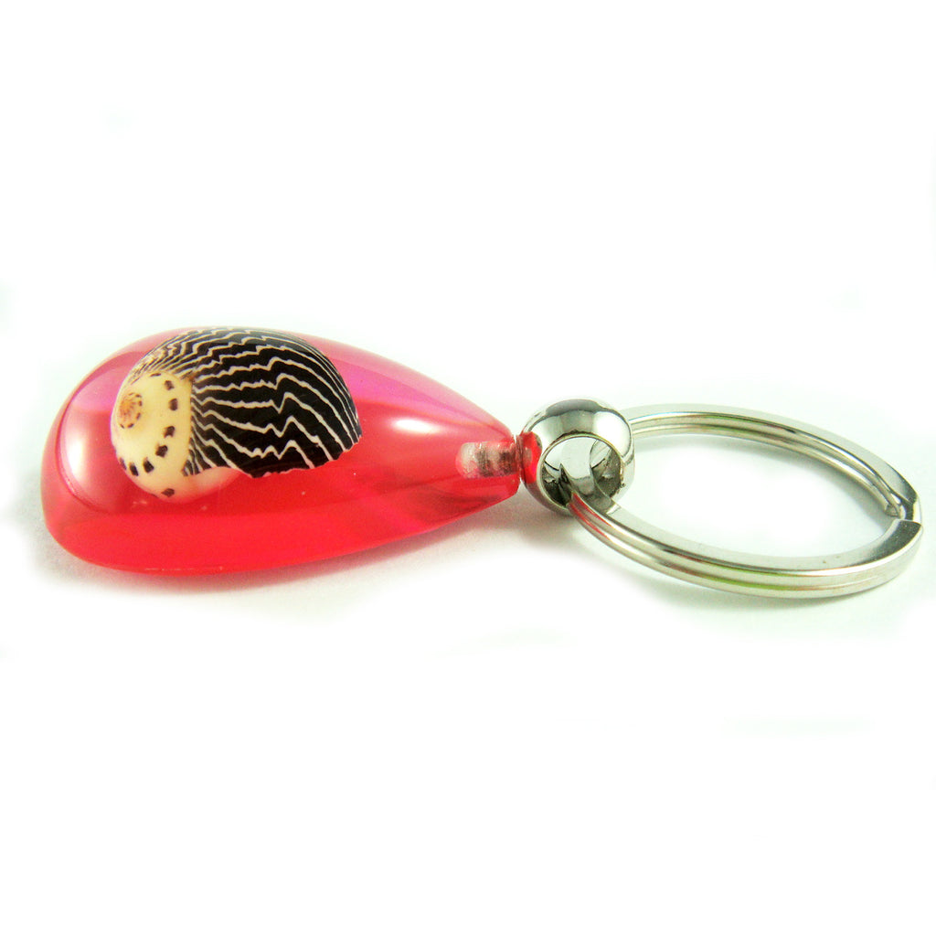 OK206 Pink<br />Zigzag Nerite Shell<br />