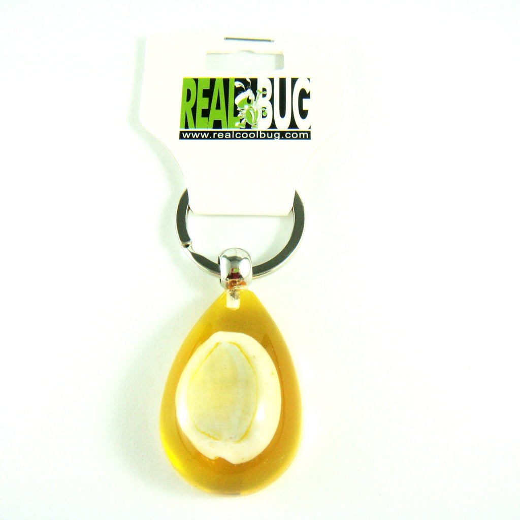 OK207 Amber<br />Gold Ringer Shell<br />