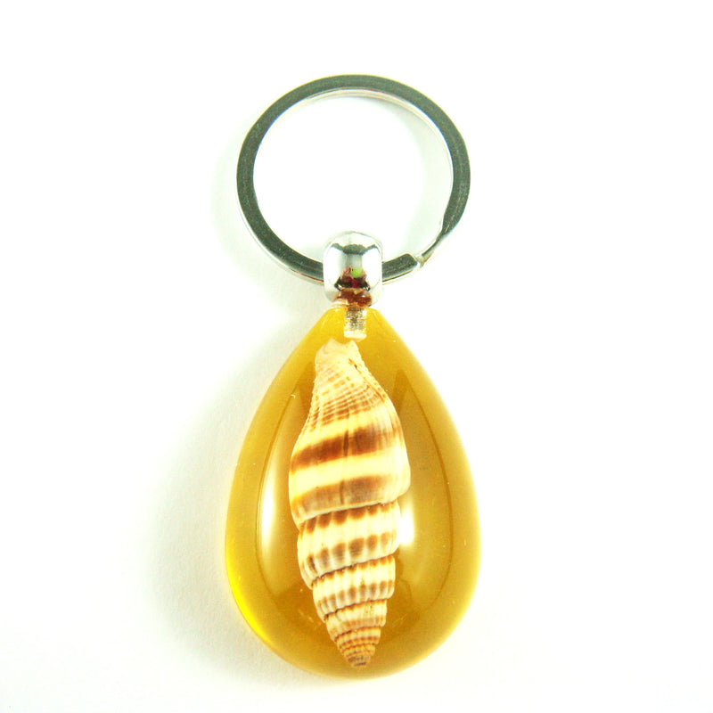 OK208 Amber<br />Ribbed Miters Shell<br />
