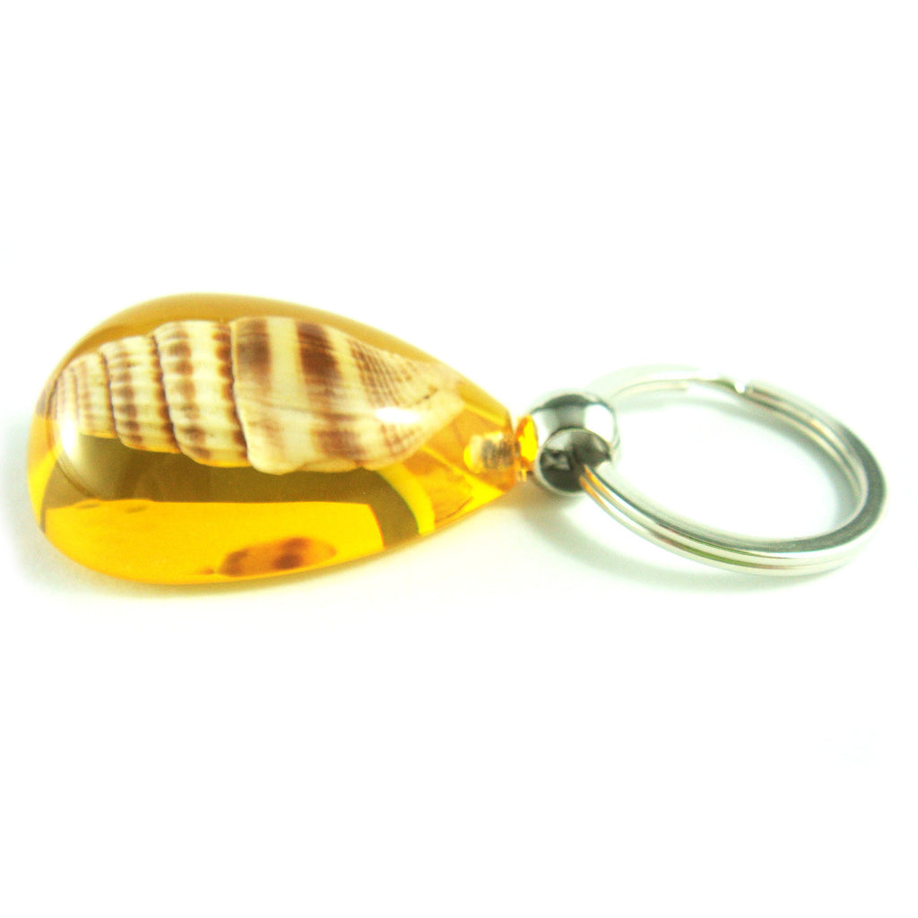 OK208 Amber<br />Ribbed Miters Shell<br />