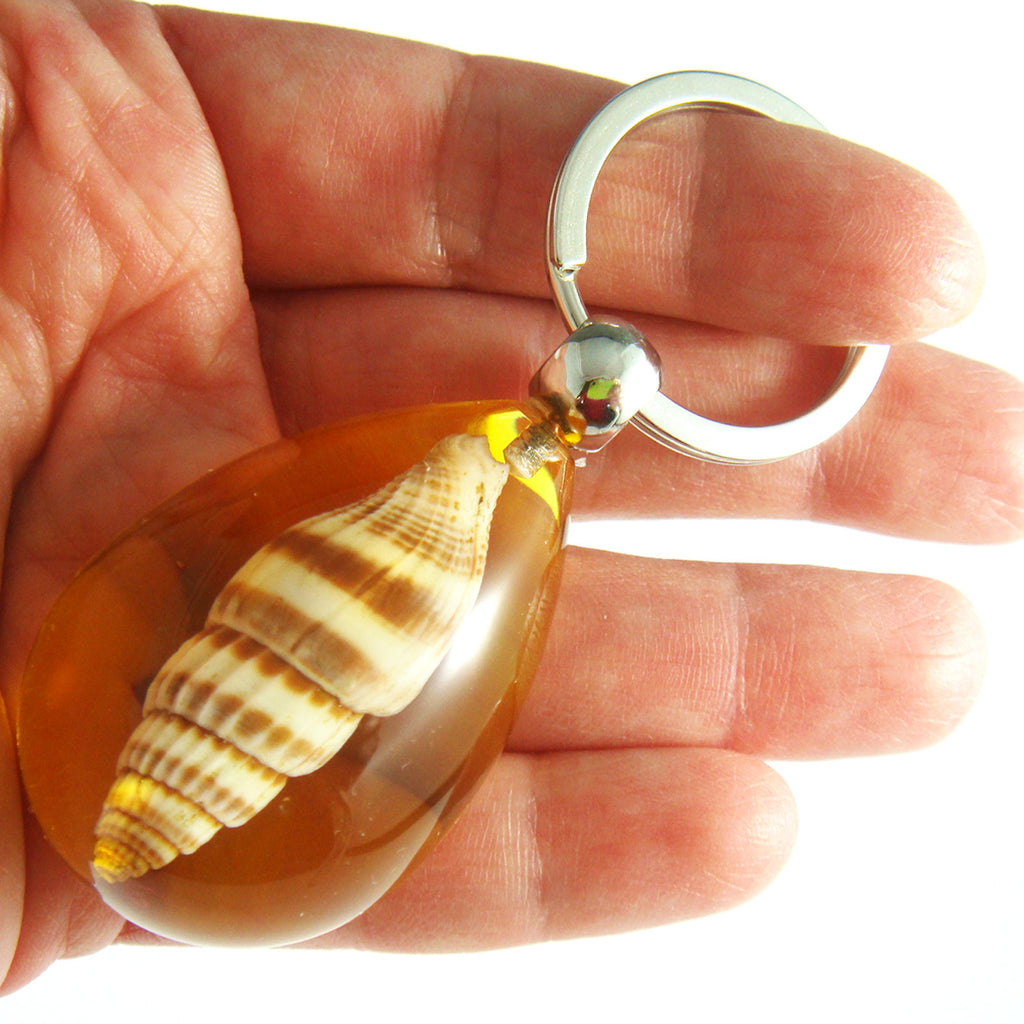 OK208 Amber<br />Ribbed Miters Shell<br />