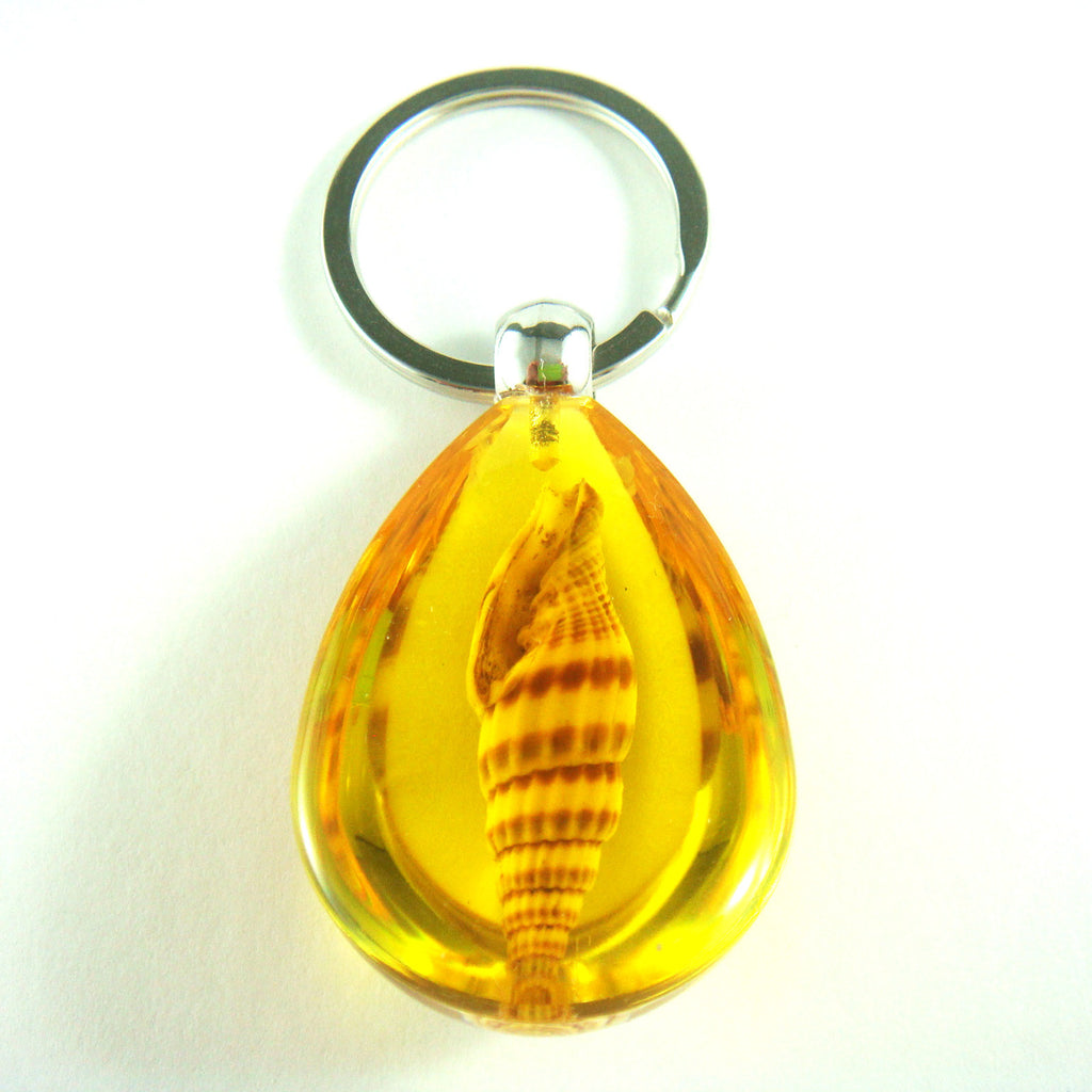 OK208 Amber<br />Ribbed Miters Shell<br />