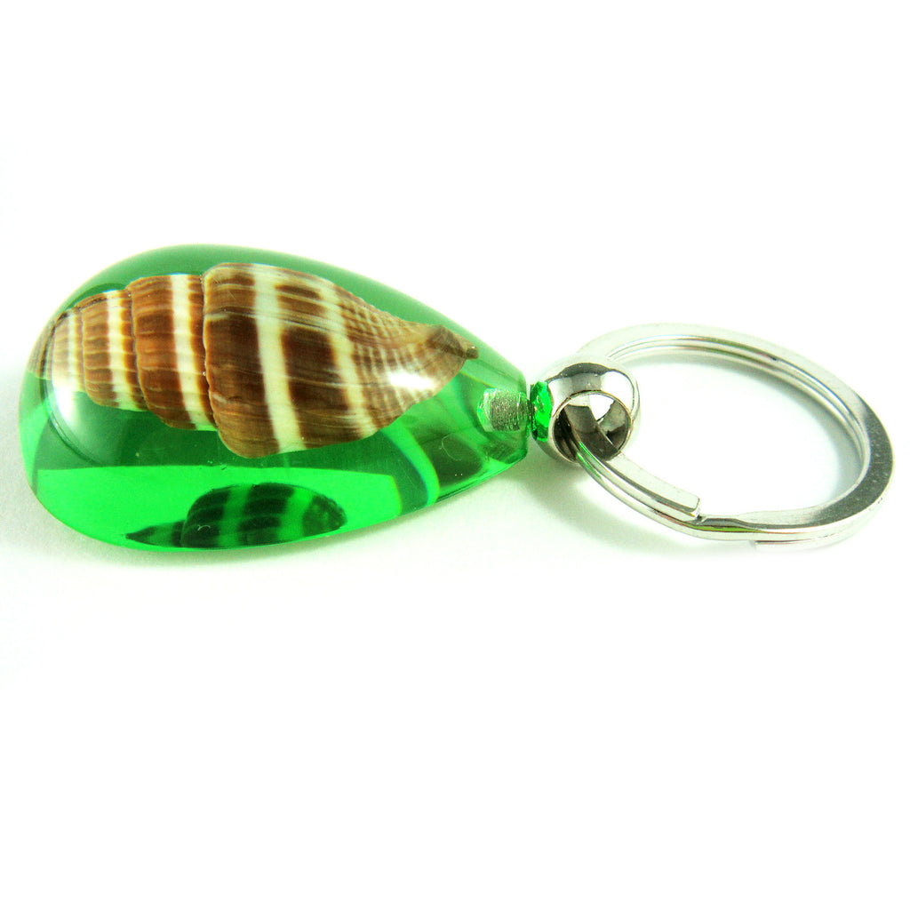 OK208 Green<br />Ribbed Miters Shell<br />