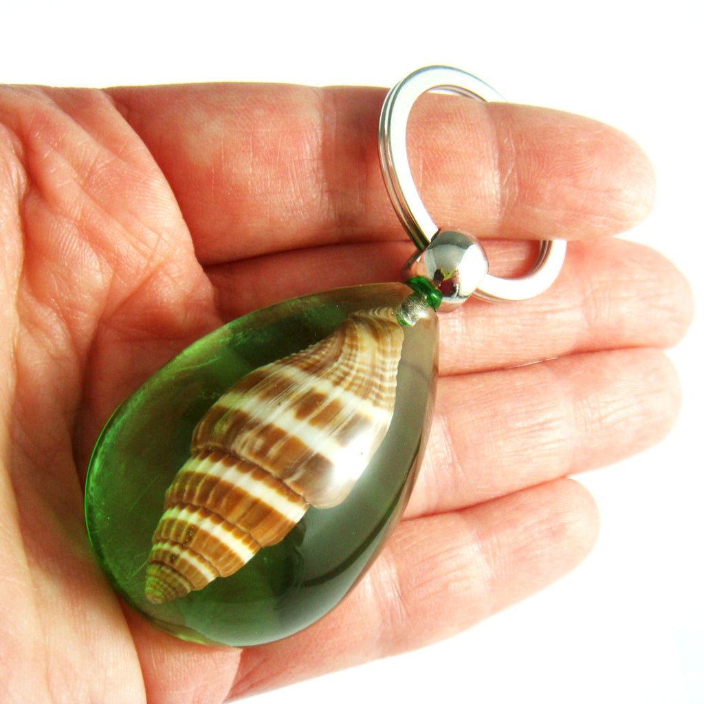 OK208 Green<br />Ribbed Miters Shell<br />