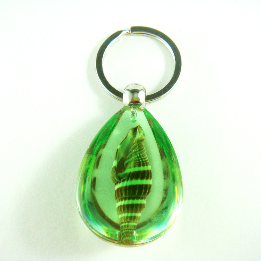 OK208 Green<br />Ribbed Miters Shell<br />