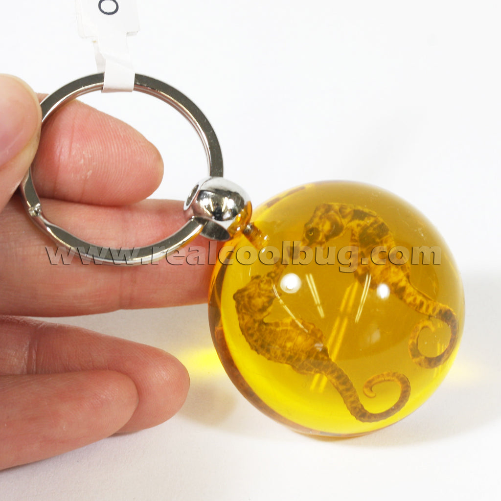Seahorse Keychain Amber (OK602)