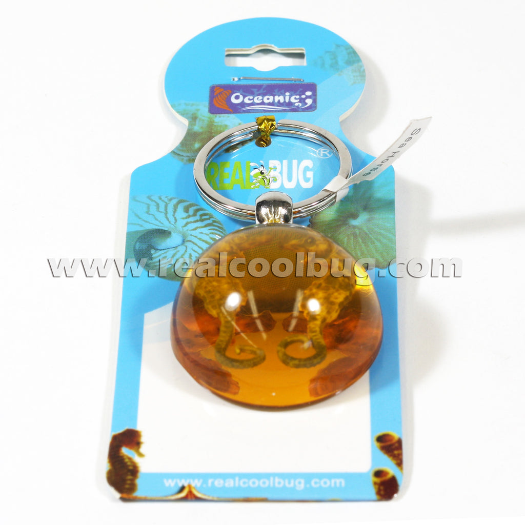 Seahorse Keychain Amber (OK602)