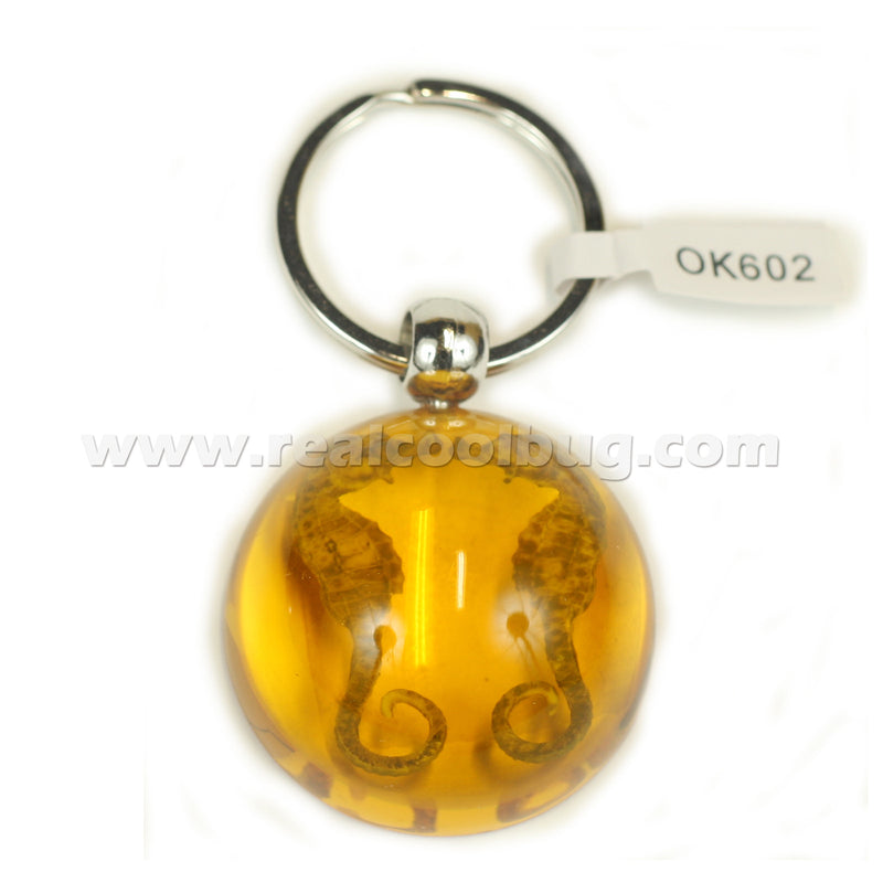 Seahorse Keychain Amber (OK602)