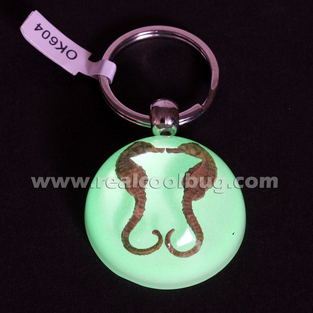 Seahorse Keychain Glow in the dark (OK604)