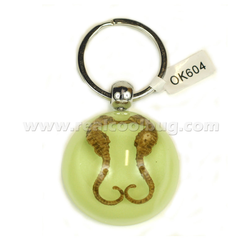 Seahorse Keychain Glow in the dark (OK604)