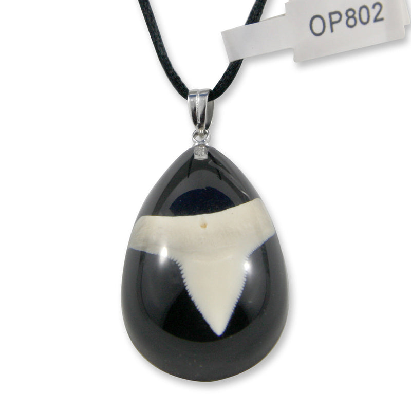 OP802<br />Shark Tooth