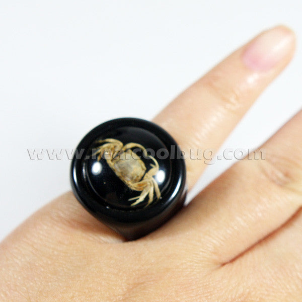 OR012<br/>Crab Ring