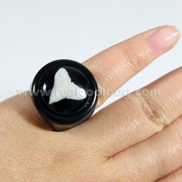 OR013<br/>Shark Tooth Ring