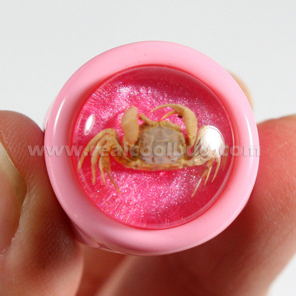 OR022<br/>Crab Ring