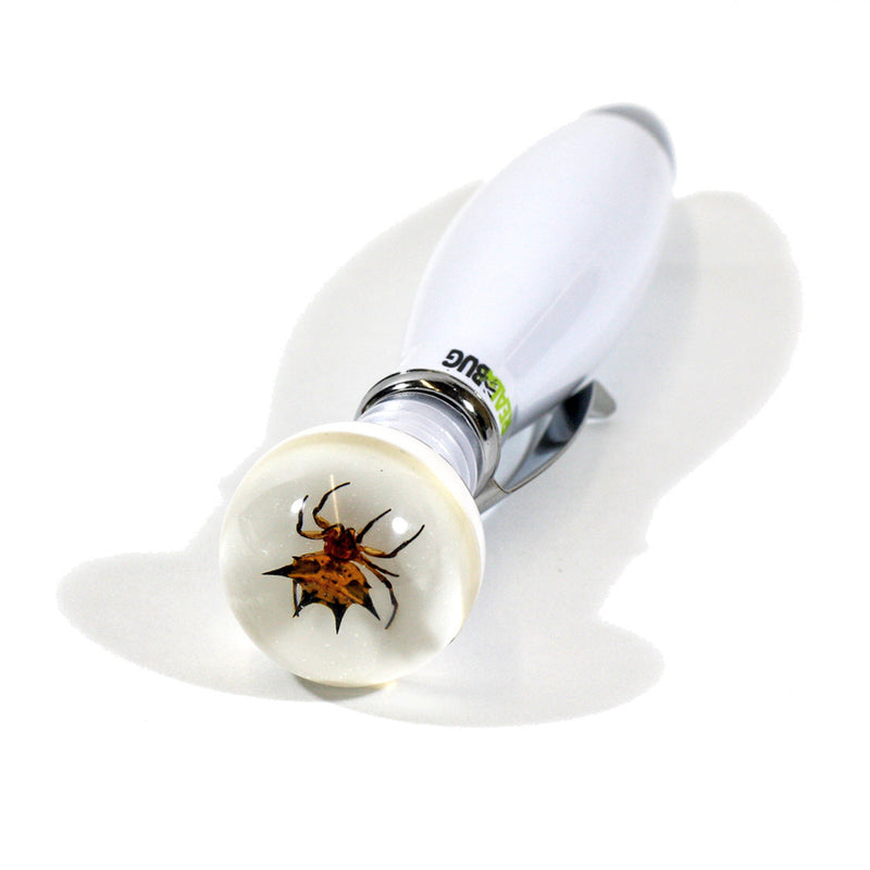 P311<br/> Spiny Spider Pen