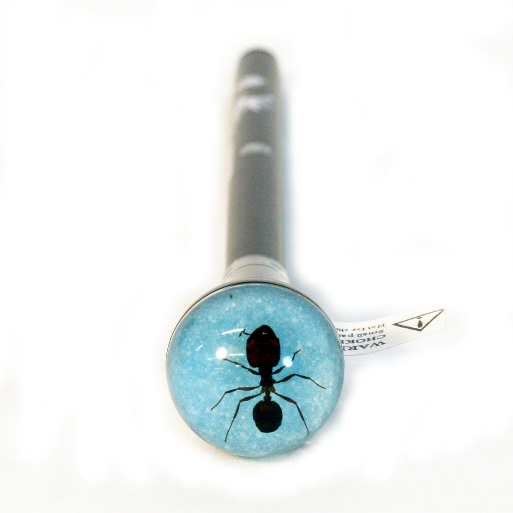 P505<br/> Black Pen, Ant, Blue Background